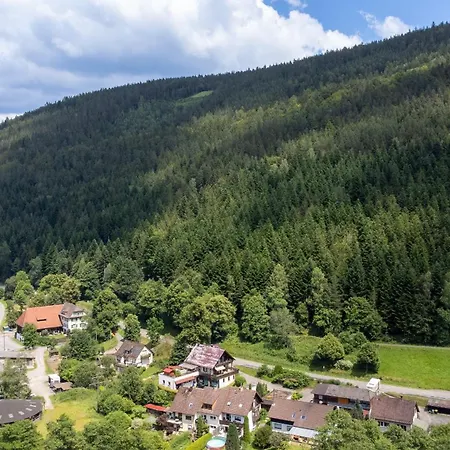 Apartamento Black Forest Design Bad Wildbad