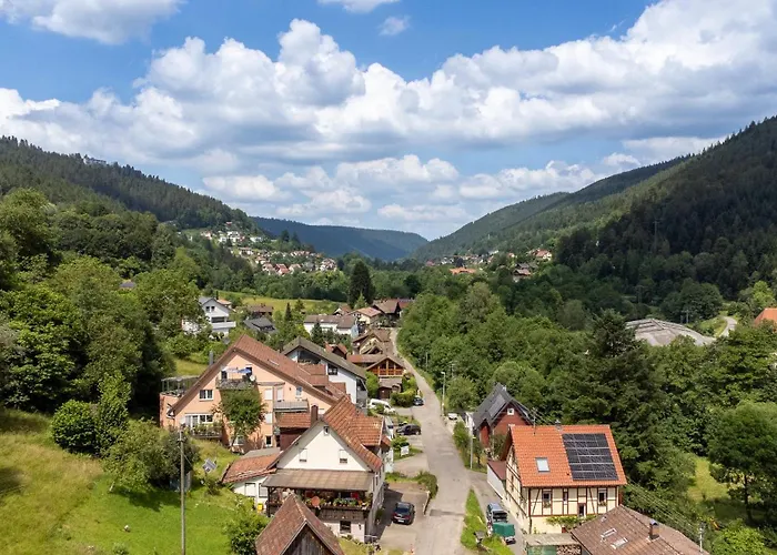 Black Forest Design * バート・ヴィルトバート